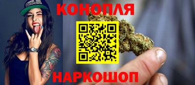сатива Краснодар