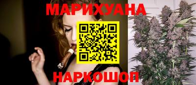 сатива Краснодар