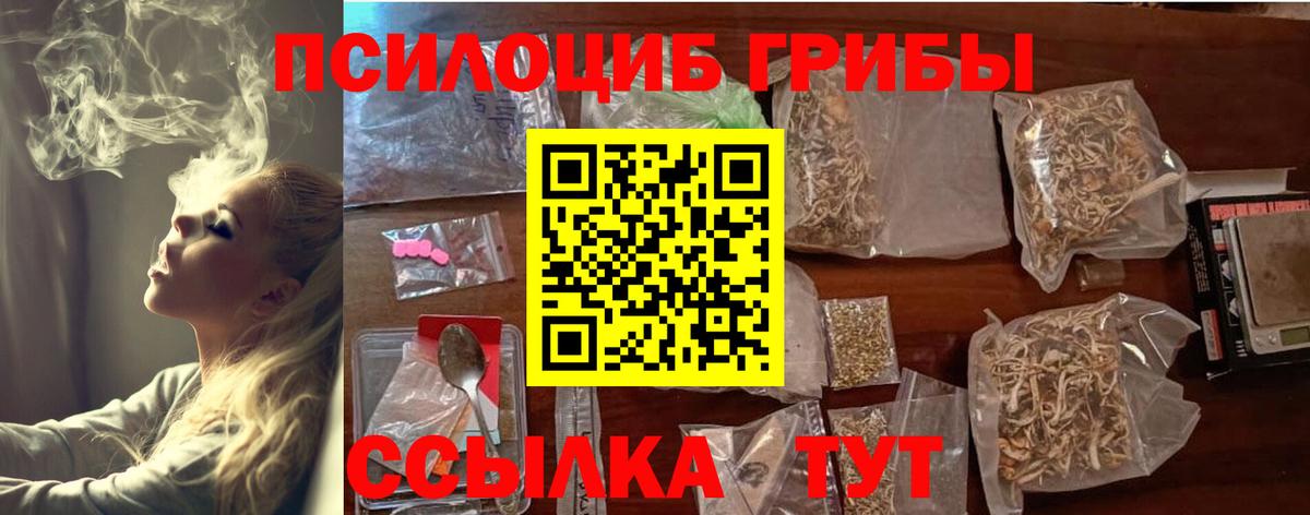 Псилоцибиновые грибы GOLDEN TEACHER Киров